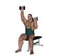 Shoulder Press - Seated Dumbbell Rotation Alternate